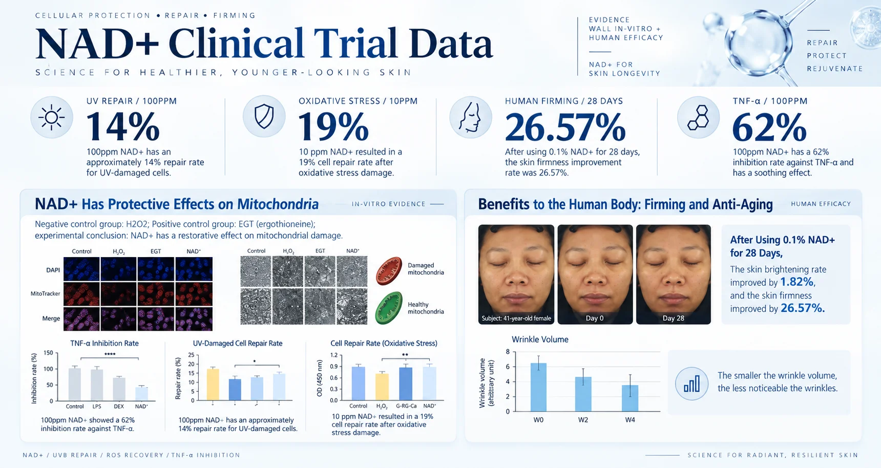 Infographic presenting NAD+ clinical trial data on skin health benefits, including UV repair rates, oxidative stress, human firming, and TNF-α inhibition effects. Includes before-and-after images and graphical results.